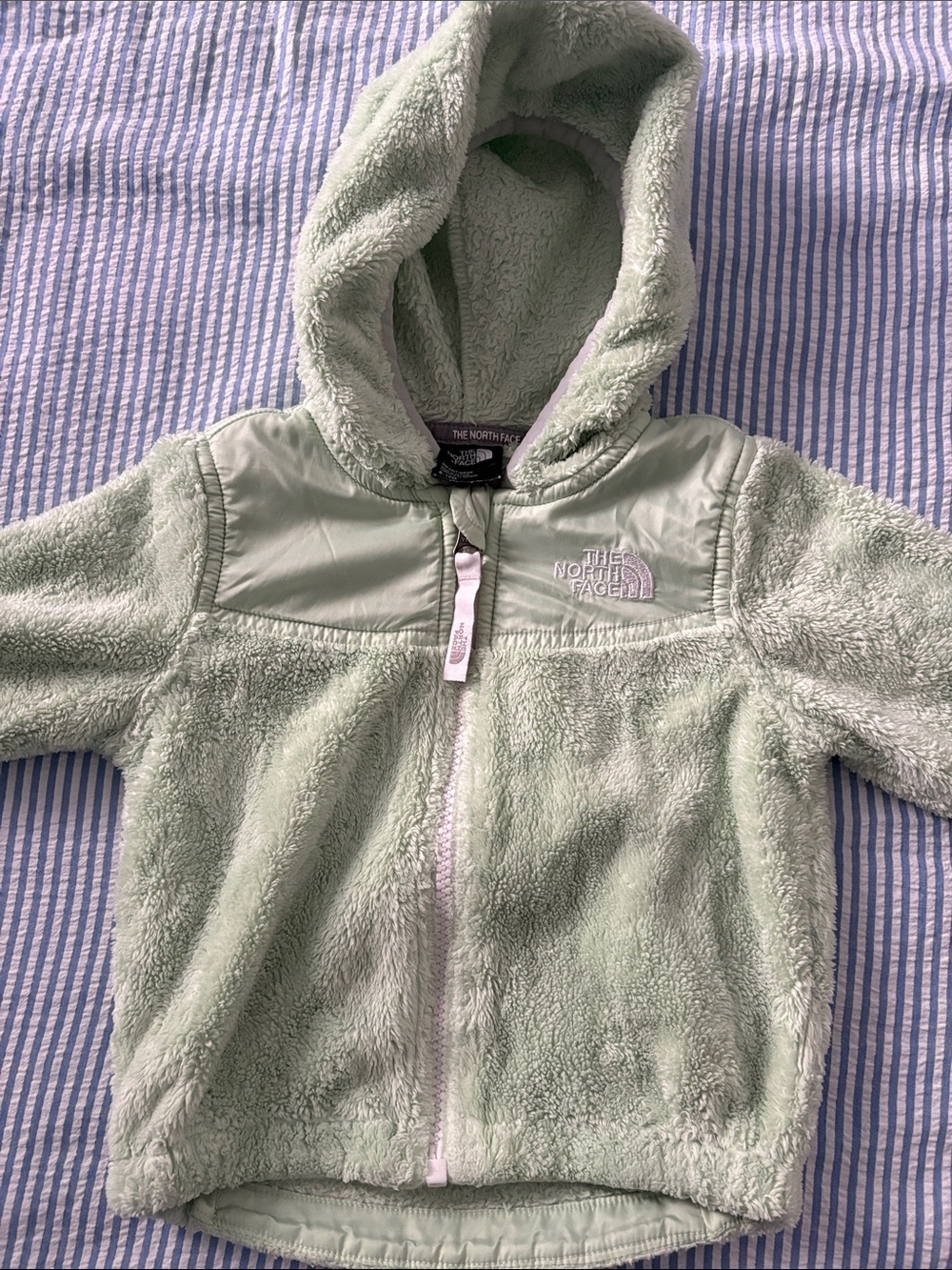 The North Face Kids Light Green Plush Hooded Fleece Jacket